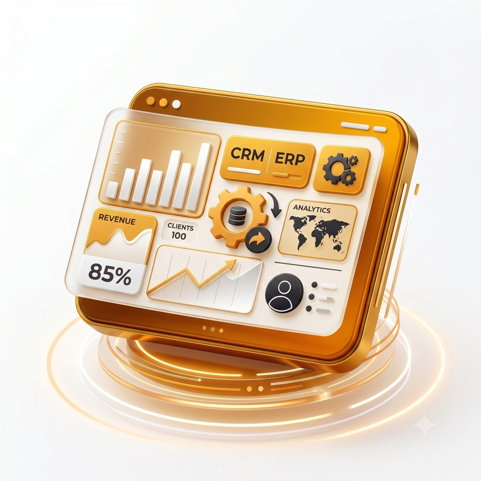 Custom Software & CRM Panels